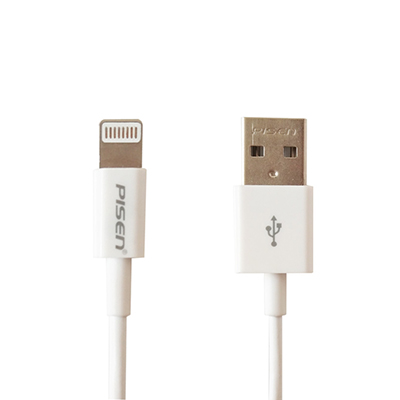 品勝蘋果5快充充電線